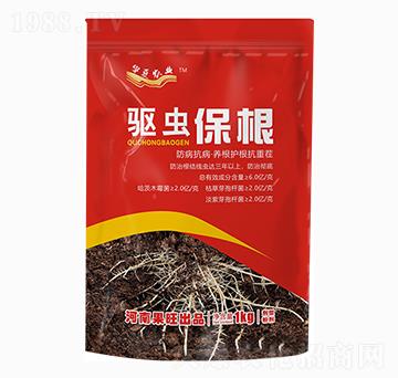 �(q��)�x(ch��ng)����-��������