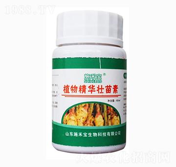 ֲ�ﾫ�A������-ʩ�̌�