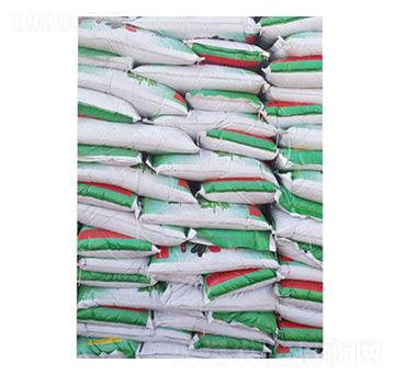 ������|(zh��)���b �ֵ��r(n��ng)�I(y��)