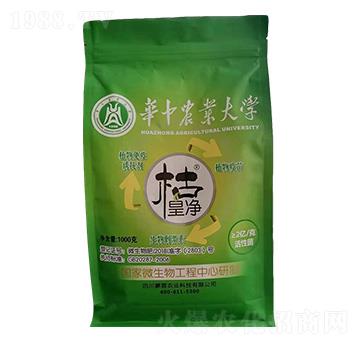 ֲ�������T����-����