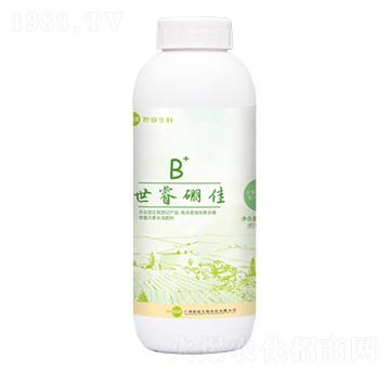 ���B+-�������