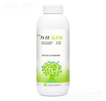 ������-�f��-�������