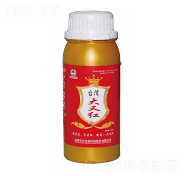 臺(tái)灣大又紅-大華墾