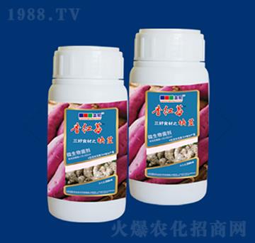 ΢��������K�oϵ��-��tݮ-�{(l��n)��r(n��ng)�I(y��)