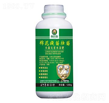 ����Ԫ��ˮ�ܷ�-�޻��������-����ɭ