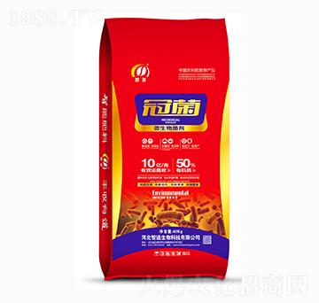 10�|΢�������-�ھ�-�ǵ�