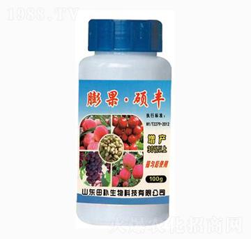 ����T�S-���a