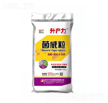 �����w��ˮ�ܷ�-������-���a��