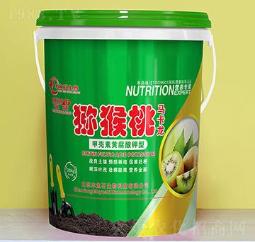 �ך����S�������-�J�����R����-ľ�~ʯ����