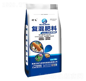 ���׌��Ï�(f��)�����17-12-11-���w����