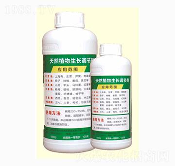 ��Ȼֲ�����L(zh��ng)�{(di��o)��(ji��)��-�x��������