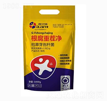 �����ز��-ϲ�m��