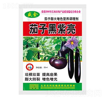 ���Ӻ�����-ʥ��ʘI(y��)