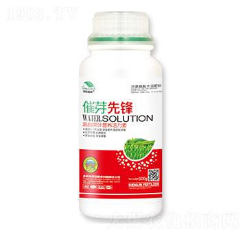 ݱ�~�I(y��ng)�B(y��ng)������-��ѿ���h-ʥ��ʘI(y��)