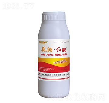 1000g���ǡ��t�n-̽·���h-�Pʢ�ʘI(y��)