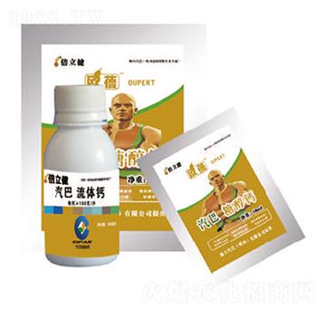 ���w�}-������-�����r(n��ng)�I(y��)