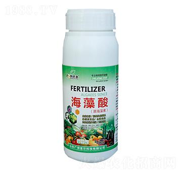 ������-�����Ƽ�