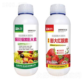 �������������+���t�n��-�����Ƽ�