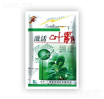 �~��-�����Ƽ�