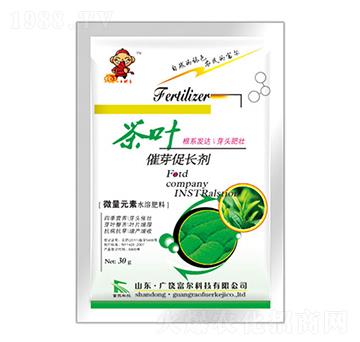 ���~��ѿ���L��-�����Ƽ�