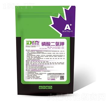 ��������-���㘷-�����Ƽ�