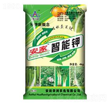 ���������-�A���r(n��ng)��