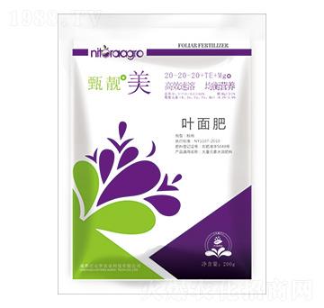 ����Ԫ��ˮ�ܷ�20-20-20+TE+MgO-���n��-���_�_