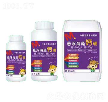 �ЙC(j��)�o�C(j��)�Ҹ������}��-��������