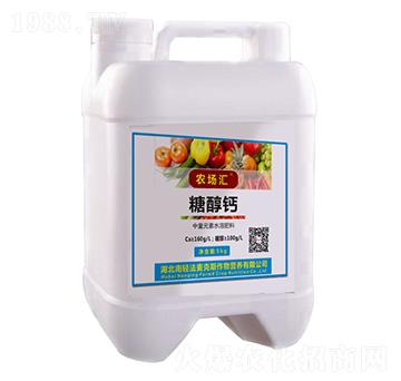 �Ǵ��}-�r���R-������˹