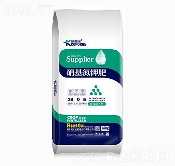 ������⛷�28-0-5-�����Z-����