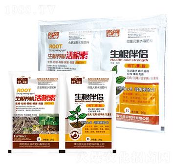 �����B(y��ng)�������+������