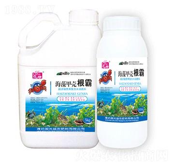 ����ך�����-��(gu��)�����r(n��ng)