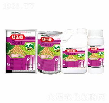 30��������-��(gu��)�����r(n��ng)