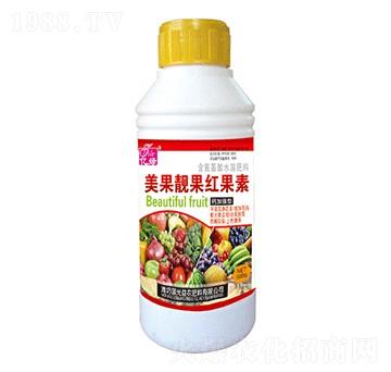 �����n�������-��(gu��)����