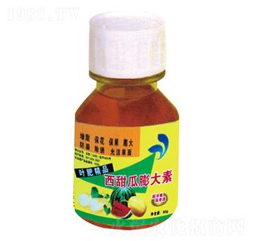 ����������-��(gu��)�����r(n��ng)