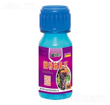 ���ь�(zhu��n)���ڷ�����������