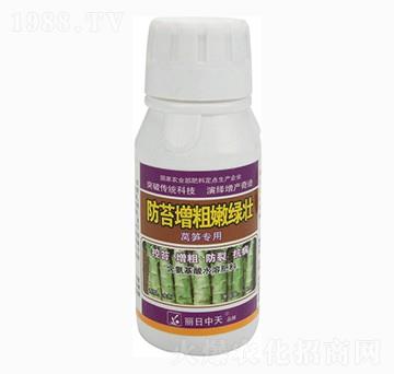 萵筍專用防苔增粗嫩綠壯-中天肥業(yè)