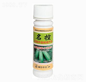 西葫蘆促控增產靈-名控-中天肥業(yè)