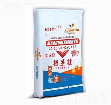大量元素水溶肥20-20-20+CaO+TE-根莖壯-農(nóng)易豐
