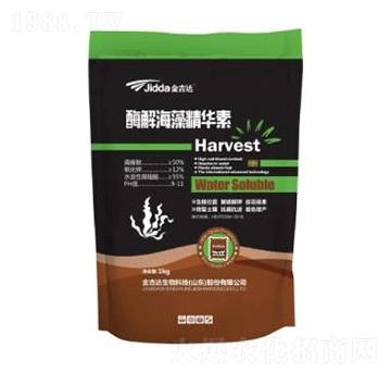 ø�⺣�徫�A��-���_(d��)