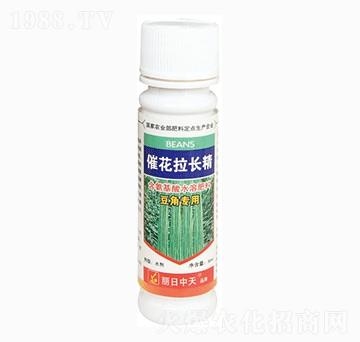 豆角專用催花拉長精-中天肥業(yè)