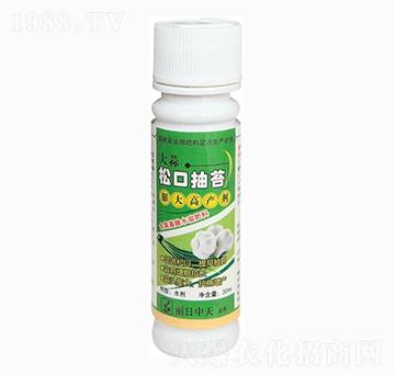 大蒜松口抽苔膨大高產劑-中天肥業(yè)