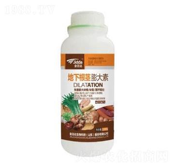 ���¸��o�����-���_