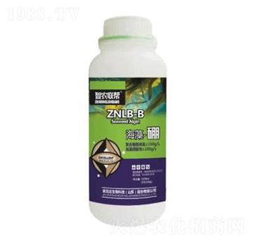 ������-���_(d��)