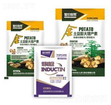 ����������a(ch��n)��-���_(d��)