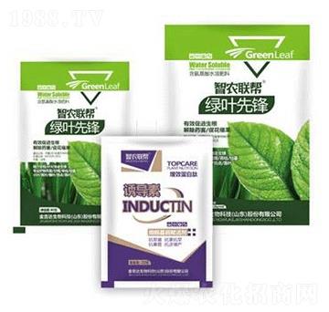 �G�~���h-���_(d��)