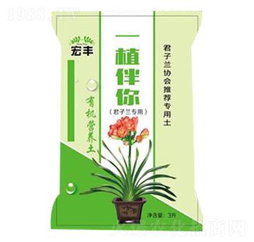 �����m���ü�ͥ�@ˇ�ЙC�I�B(y��ng)��-һֲ����-���S