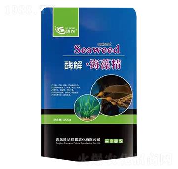 ø�⺣�徫-�Z(y��)�r(n��ng)-���A(li��n)��