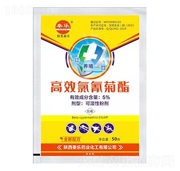 5%��Ч�������-�ؘ�(l��)ˎ�I(y��)