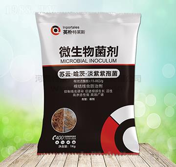 ΢�������-Ӣ�����R˹